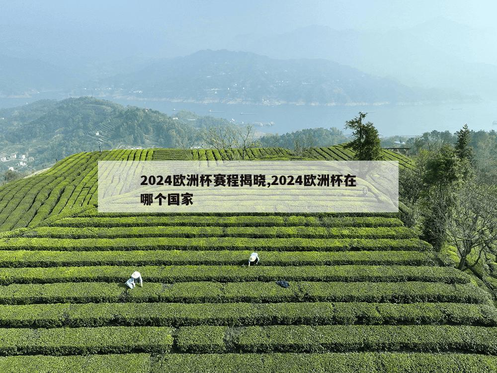 2024欧洲杯赛程揭晓,2024欧洲杯在哪个国家