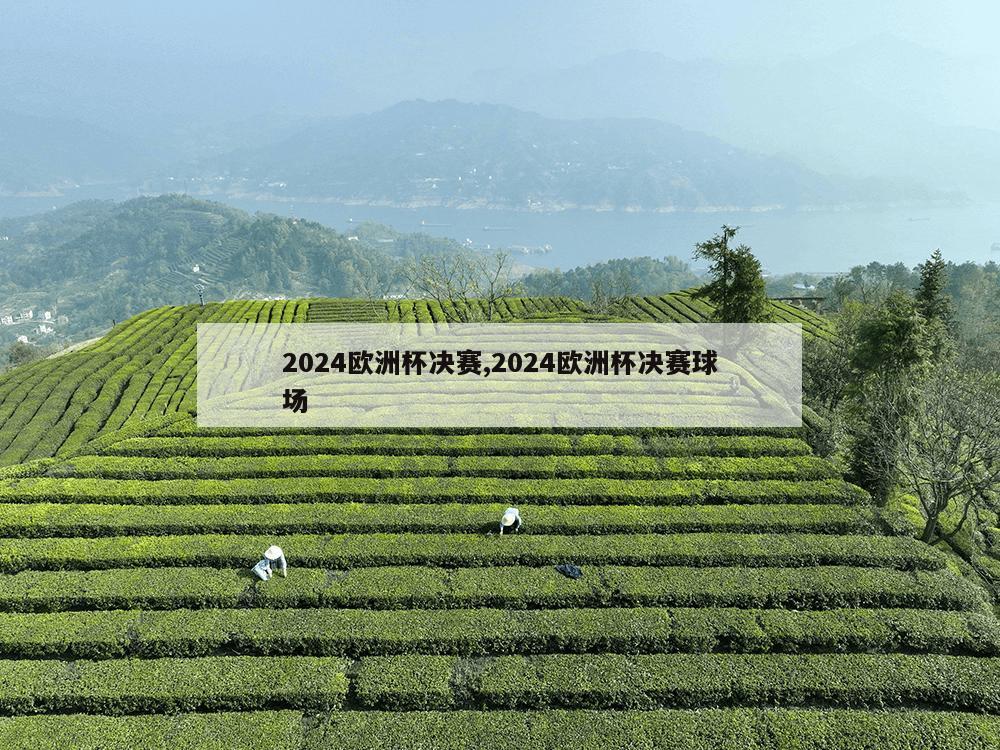 2024欧洲杯决赛,2024欧洲杯决赛球场