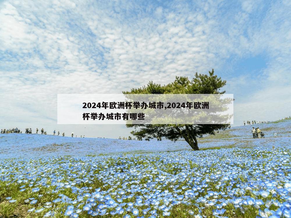 2024年欧洲杯举办城市,2024年欧洲杯举办城市有哪些